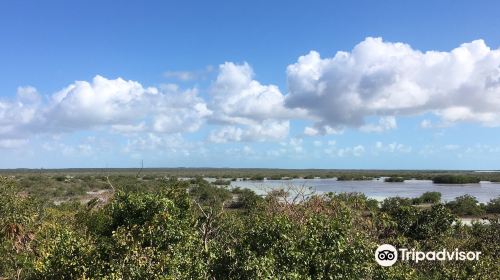 Flamingo Pond Overlook