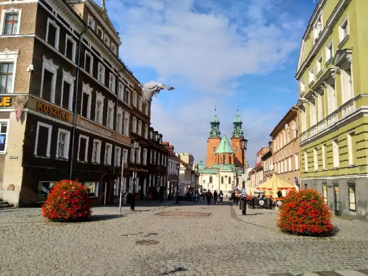 Hotels in Gniezno