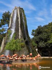 Zoo de La Palmyre