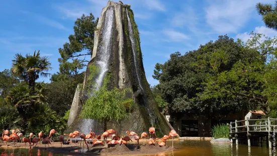 Zoo de la Palmyre