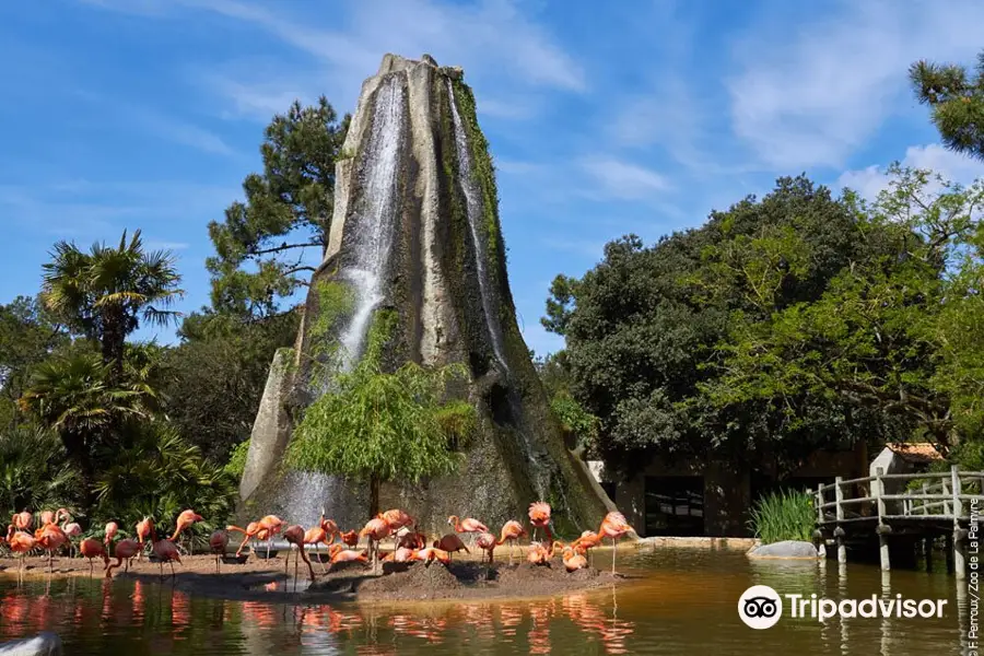 Zoo La Palmyre