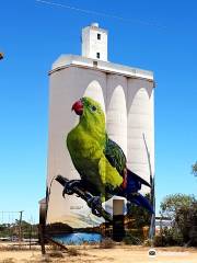 Waikerie Silo Art