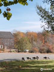 Bayard Cutting Arboretum