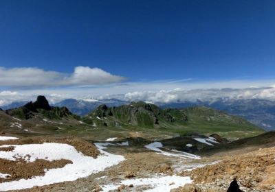 Visp
