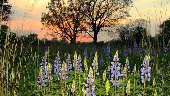 River Rouge Park