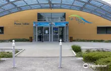 WAVE // Aquatic, Fitness, Wellness