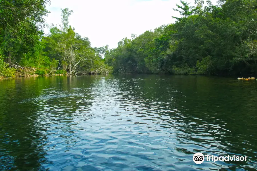 Broadwater National Park