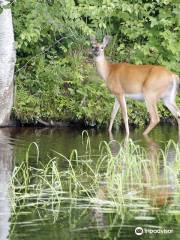 Wisconsin River Cruises