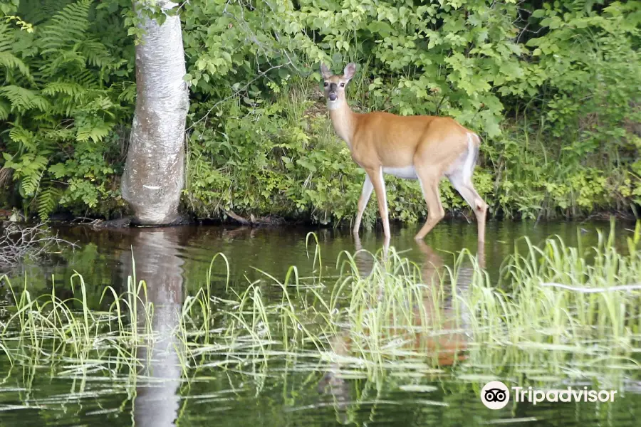 Wisconsin River Cruises