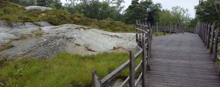 Ausevika Rock Carvings