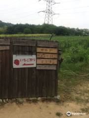 農業公園 信貴山のどか村