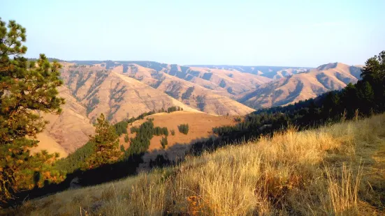 Joseph Canyon Viewpoint