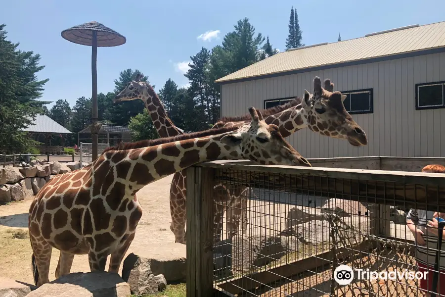 Wildwood Wildlife Park Zoo & Safari