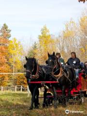 Back of Beyond Equine Centre