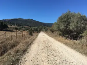 Sendero Rio de la Miel