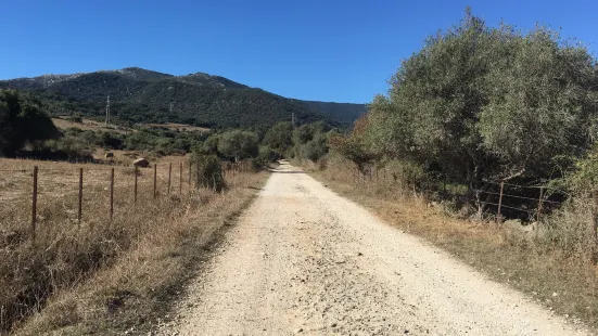 Sendero Rio de la Miel