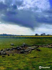 Fort roman de Piercebridge