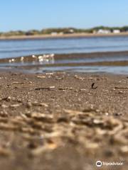 Ainsdale Beach