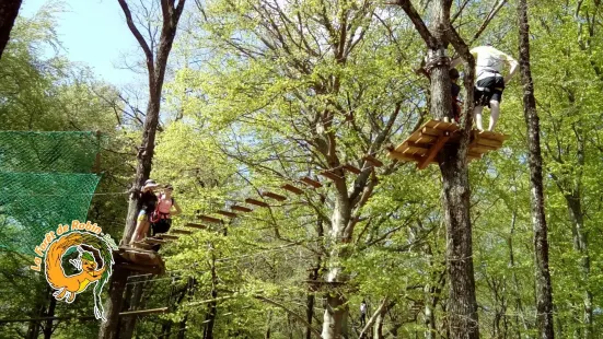 La Forêt de Robin