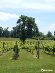 DeVault Vineyards