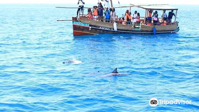 Marco Polo Tours And Safaris