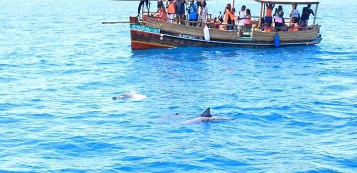Marco Polo Tours And Safaris (www.marcopolosafaris.com )