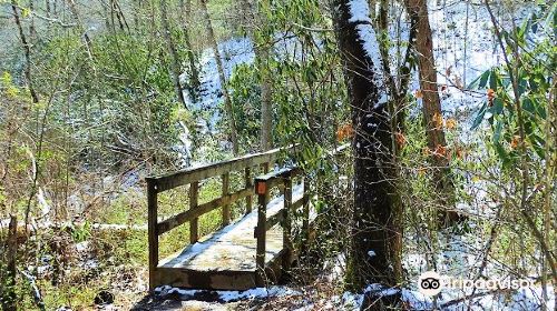 Bent Creek Experimental Forest