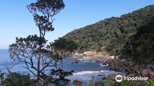 Praia Saco do Major