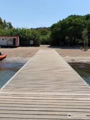 Plage des Canebiers