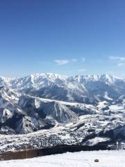 Yuzawa Kogen湯澤高原滑雪場