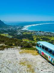 City Sightseeing South Africa