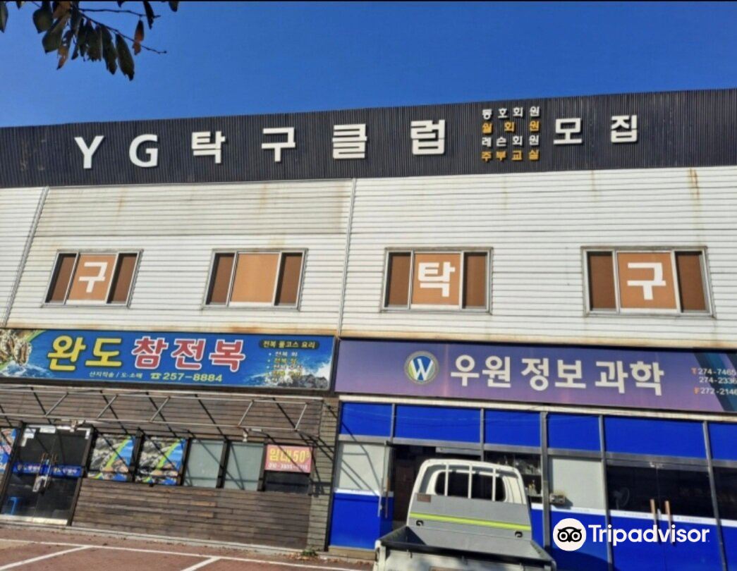 YG탁구클럽 티켓 할인, 운영 시간, 후기 [2025년] | Trip.com
