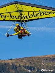 Bumblebee Hang Gliding Interlaken