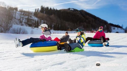 Toboggan Slide