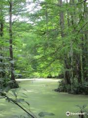 Northlake Nature Center