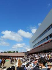 札幌競馬場