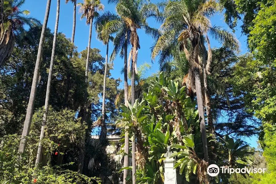 Jardim Botanico Da Universidade De Lisboa