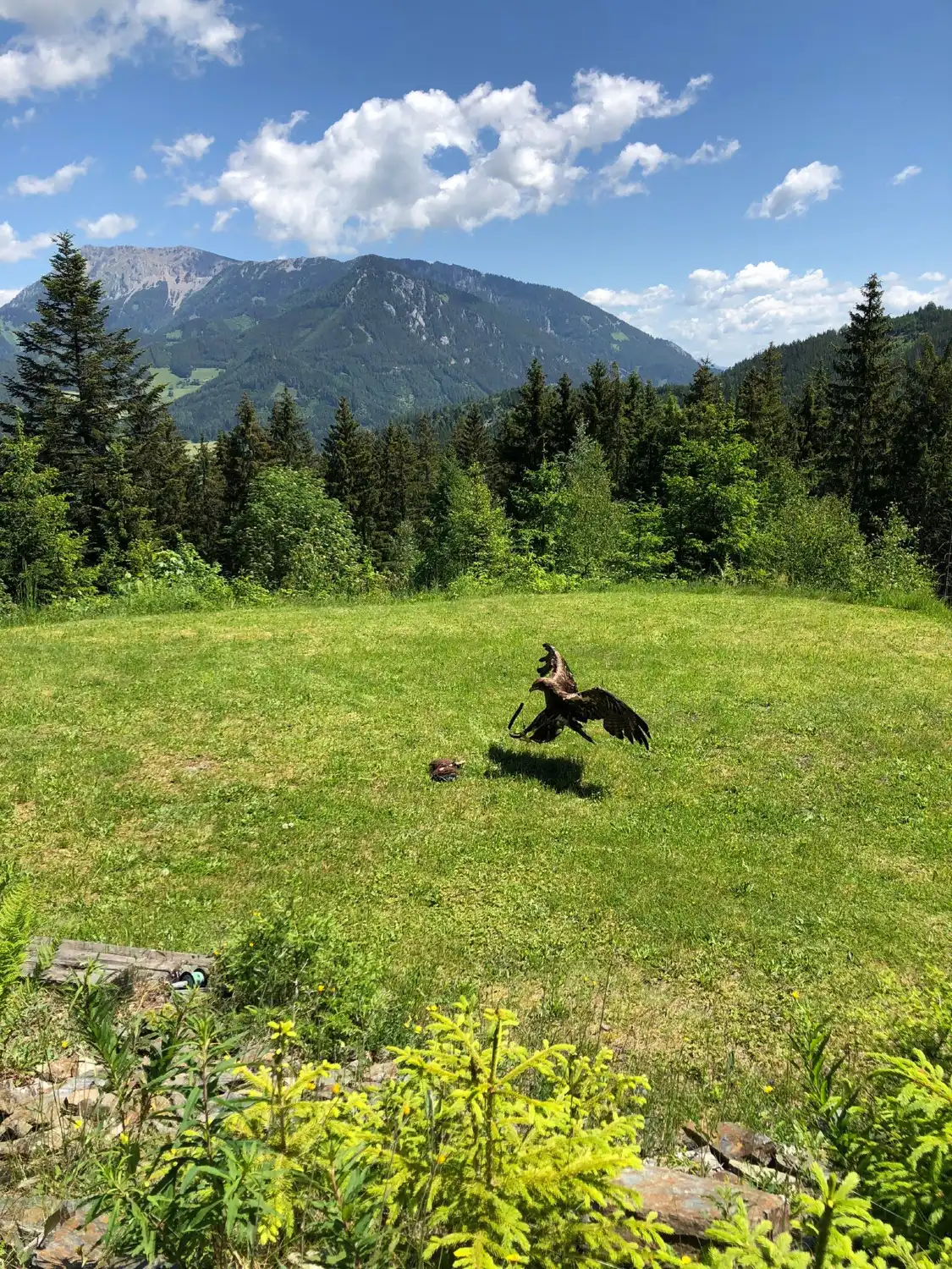 Hotels near Der wilde Berg