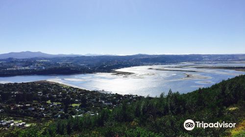 Margaret's Viewpoint