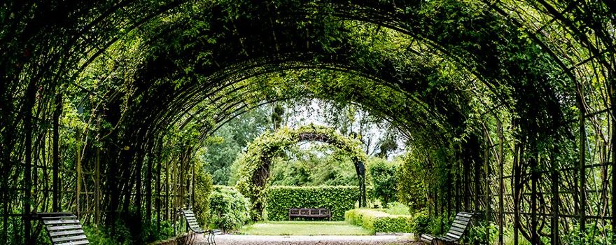 Jardin botanique de Marnay sur seine