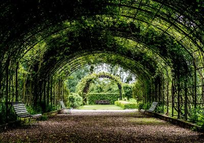 de Marnay sur seine Botanical Garden