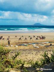 Volcano Surf School