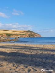 Mothecombe beach