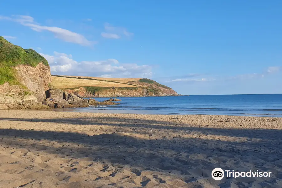 Mothecombe beach