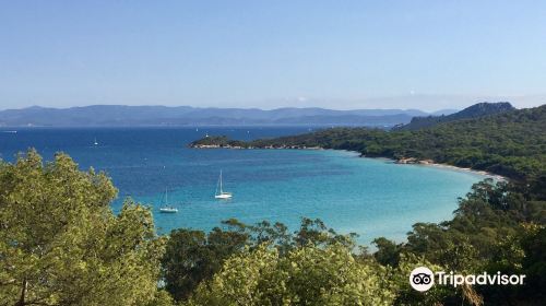 Plage de la Courtade