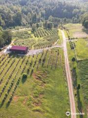 Perry's Berry's Vineyard & Winery