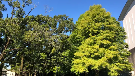 神柱公園