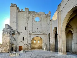 Ruinas de San Pedro