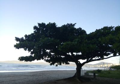 Itapema Beach