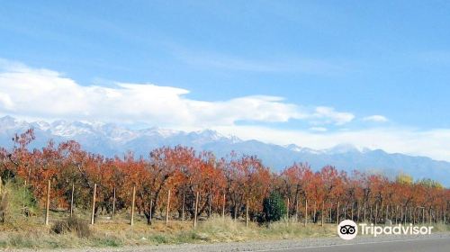 Valle de Uco